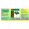 Ginkgo 100 mg Kapseln