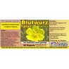 Blutwurz plus Kapseln