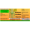Katzenkrallen-Kapseln