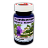Thunbergia 350mg Extrakt Kapseln