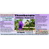 Thunbergia 350mg Extrakt Kapseln