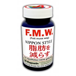 FMW Nippon Style