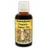 Propolis Tinktur 10% alkoholisch