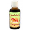 Grapefruitkern Flüssigextrakt Lösung