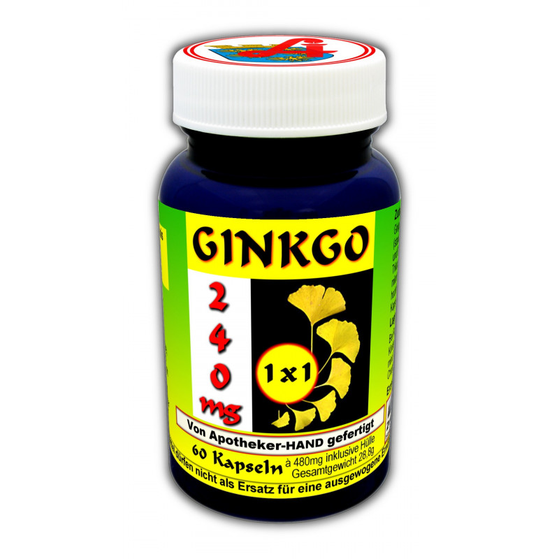 Ginkgo 240 MG 1x1 täglich Kapseln Ginkgo 240 MG 1x1 täglich Kapseln