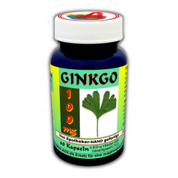 Ginkgo 100 mg Kapseln